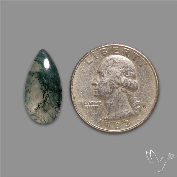 Moss Agate Cabochon