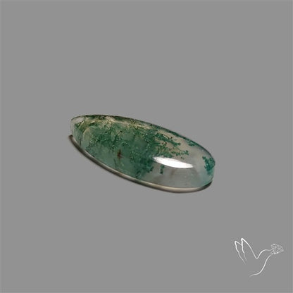 Moss Agate Cabochon