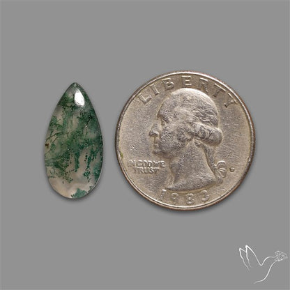 Moss Agate Cabochon