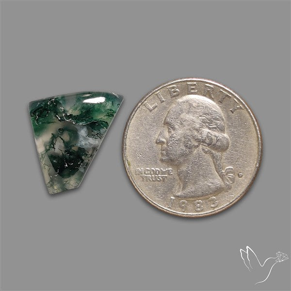 Moss Agate Cabochon