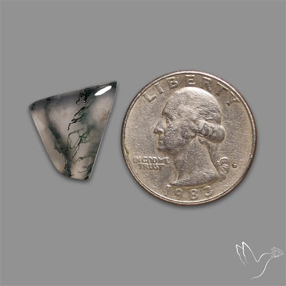 Moss Agate Cabochon