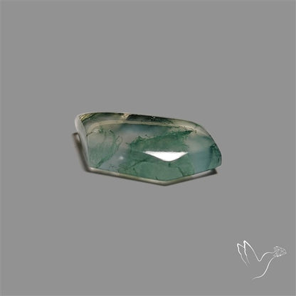 Moss Agate Cabochon
