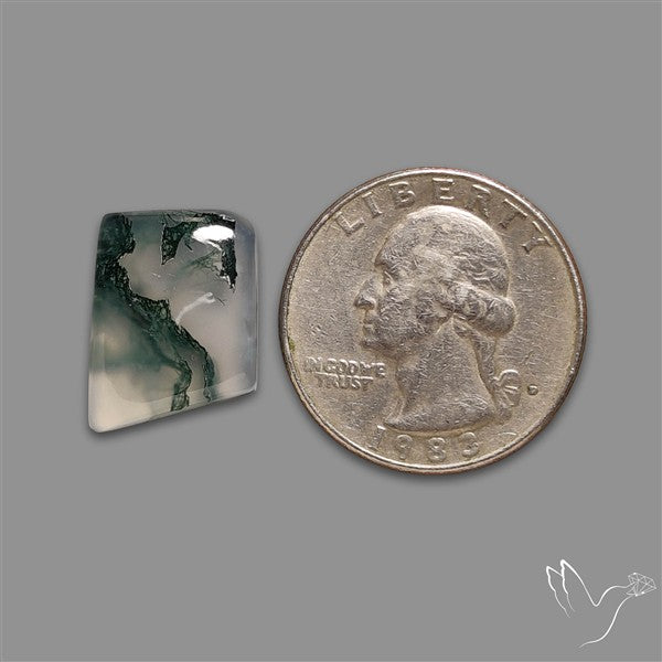 Moss Agate Cabochon