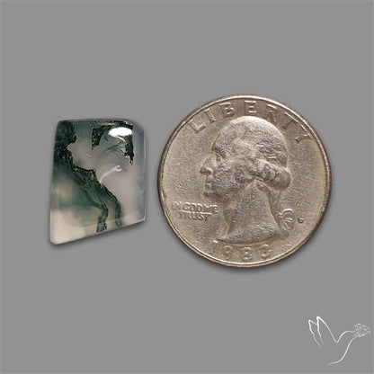 Moss Agate Cabochon