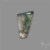 Moss Agate Cabochon