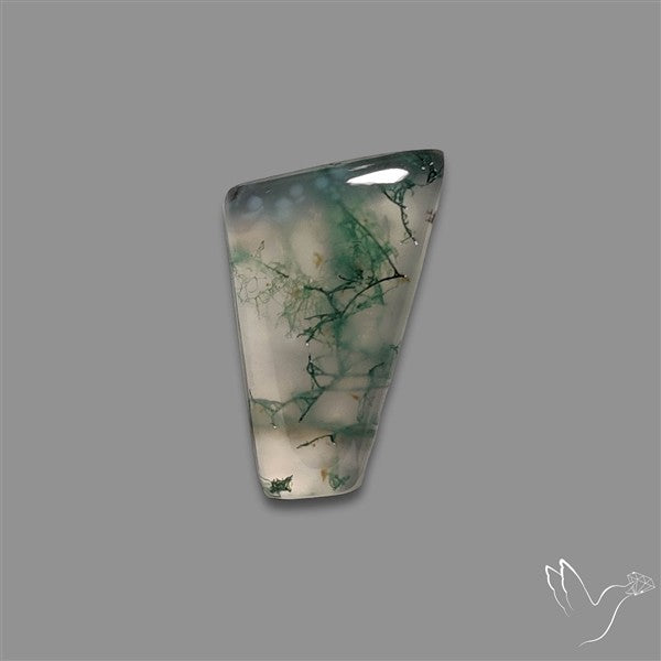 Moss Agate Cabochon