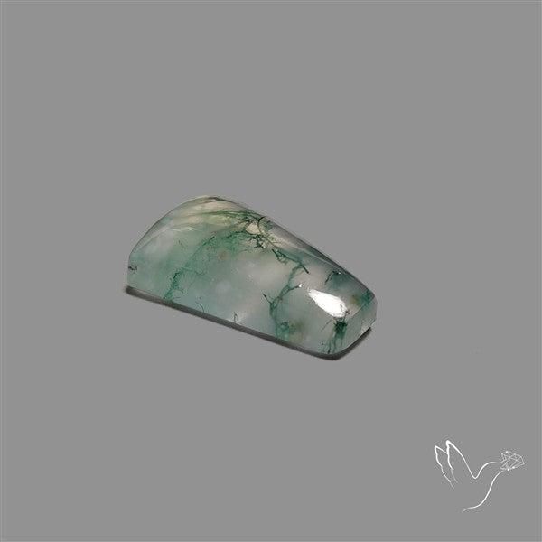 Moss Agate Cabochon