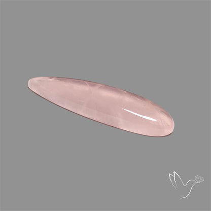 Rose Quartz Long Pear Talon Cabochon