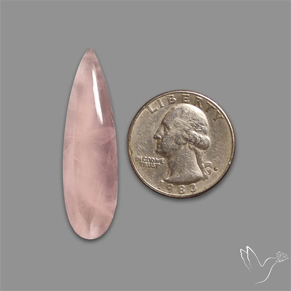 Rose Quartz Long Pear Talon Cabochon