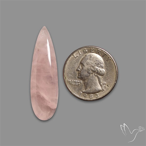 Rose Quartz Long Pear Talon Cabochon