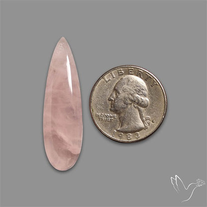 Rose Quartz Long Pear Talon Cabochon