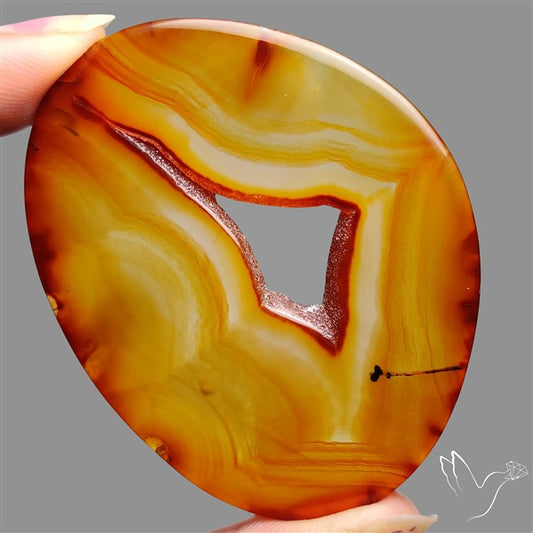 Montana Agate Slice Cabcohon Flat Cut