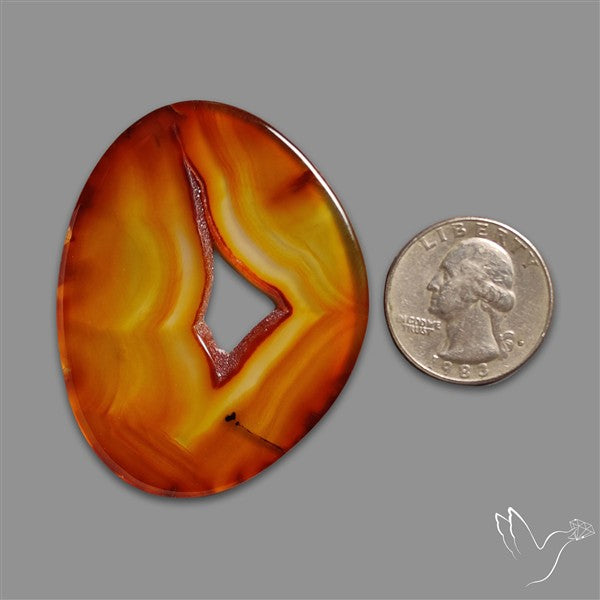 Montana Agate Slice Cabcohon Flat Cut
