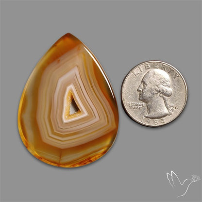 Montana Agate Slice Cabcohon Flat Cut