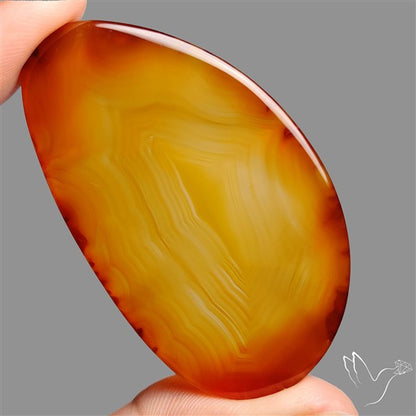 Montana Agate Slice Cabcohon Flat Cut