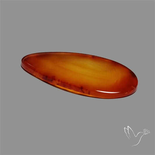 Montana Agate Slice Cabcohon Flat Cut
