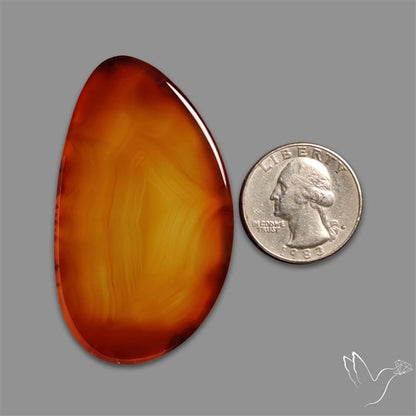 Montana Agate Slice Cabcohon Flat Cut