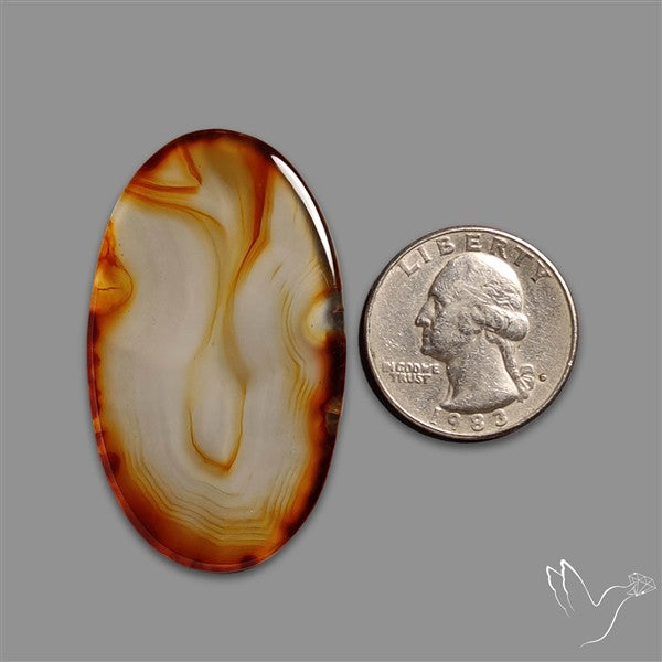 Montana Agate Slice Cabcohon Flat Cut