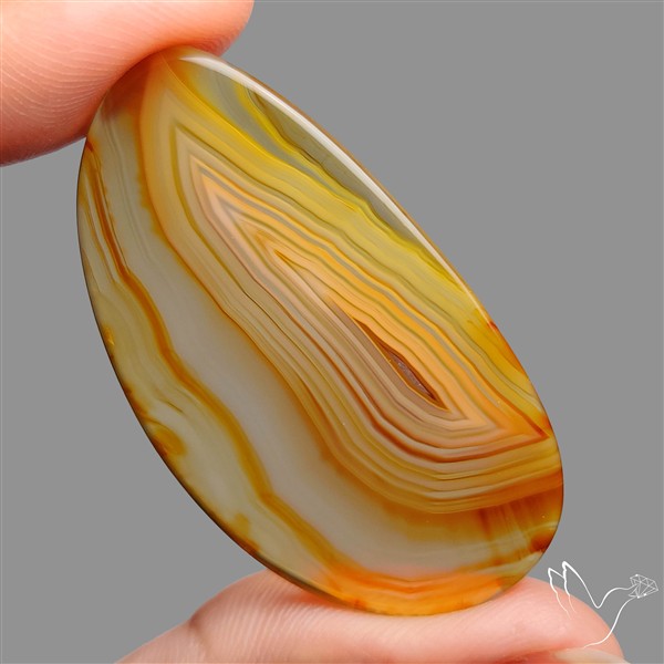 Montana Agate Slice Cabcohon Flat Cut