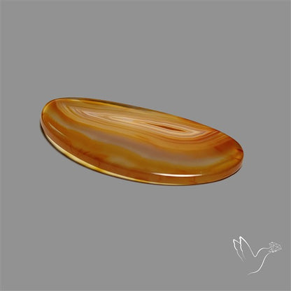Montana Agate Slice Cabcohon Flat Cut