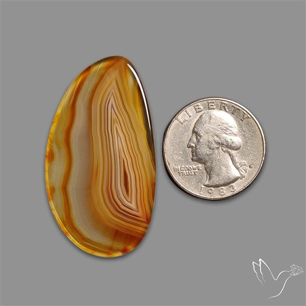 Montana Agate Slice Cabcohon Flat Cut