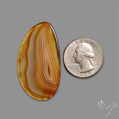Montana Agate Slice Cabcohon Flat Cut