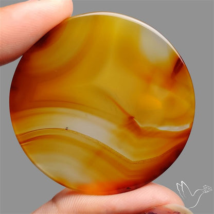Montana Agate Slice Cabcohon Flat Cut