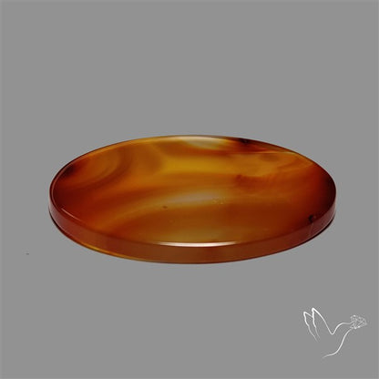 Montana Agate Slice Cabcohon Flat Cut