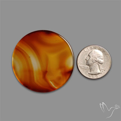 Montana Agate Slice Cabcohon Flat Cut