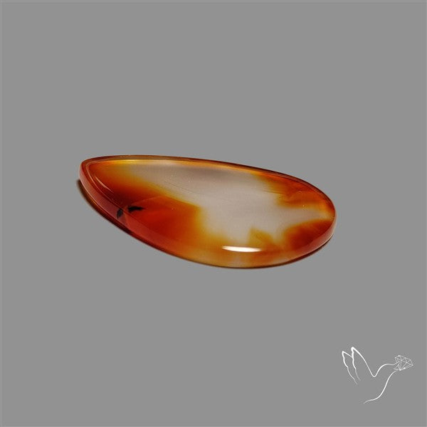 Montana Agate Slice Cabcohon Flat Cut