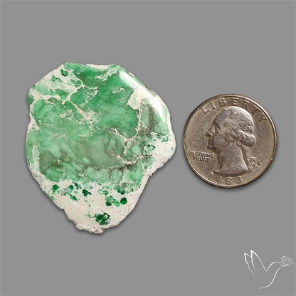 Utah Lucin Variscite Slice Uneven Freeform Polished