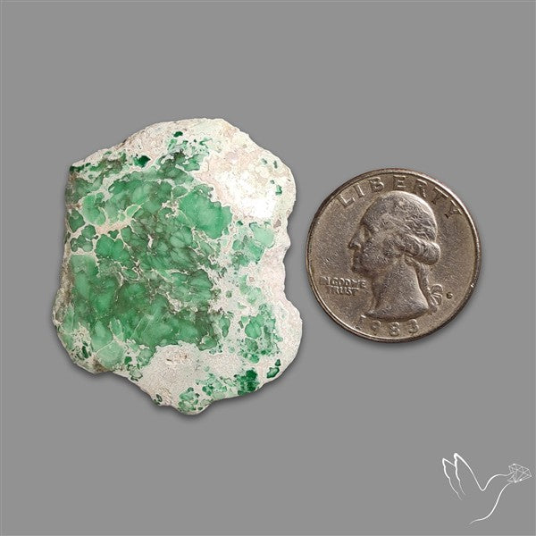 Utah Lucin Variscite Slice Uneven Freeform Polished