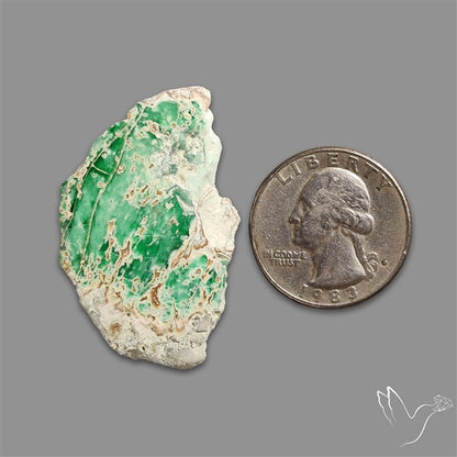 Utah Lucin Variscite Slice Uneven Freeform Polished