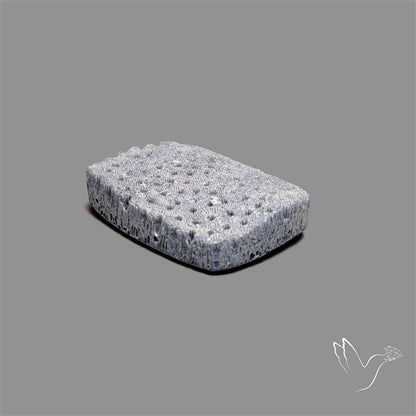 Raw Face Blue Sponge Coral