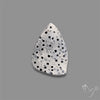 Raw Face Blue Sponge Coral