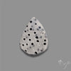 Raw Face Blue Sponge Coral