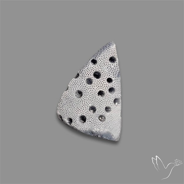 Raw Face Blue Sponge Coral