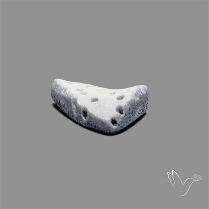 Raw Face Blue Sponge Coral