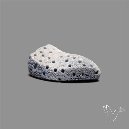 Raw Face Blue Sponge Coral