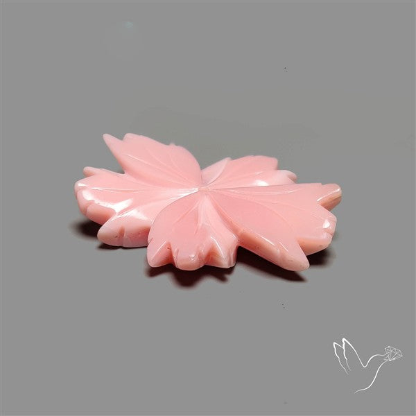 Pink Conch Shell Floral Carving Top Grade Deep Pink