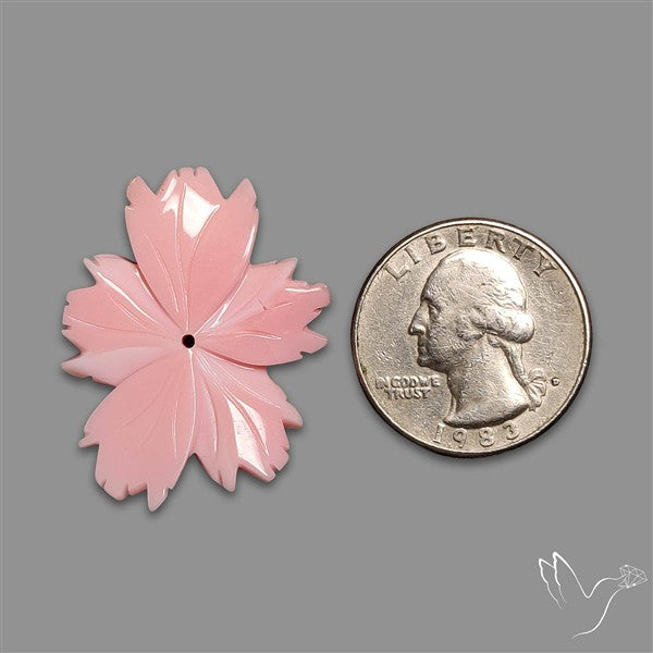Pink Conch Shell Floral Carving Top Grade Deep Pink
