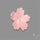 Pink Conch Shell Floral Carving Top Grade Deep Pink