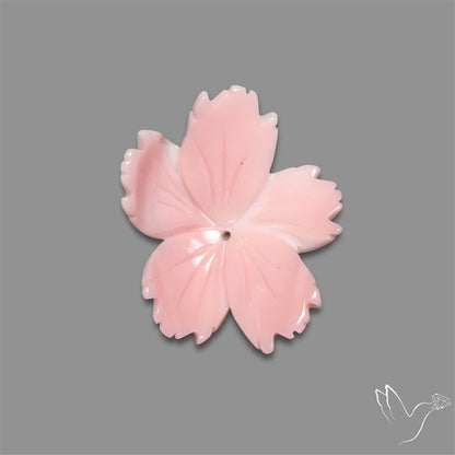 Pink Conch Shell Floral Carving Top Grade Deep Pink
