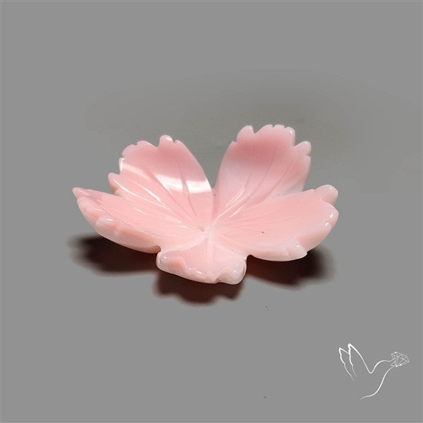 Pink Conch Shell Floral Carving Top Grade Deep Pink
