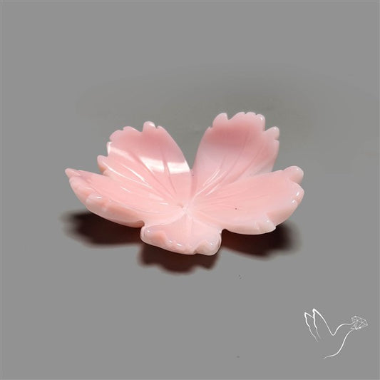 Pink Conch Shell Floral Carving Top Grade Deep Pink