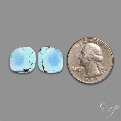 Rare Golden Hill Turquoise Pair