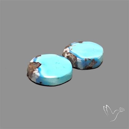 Rare Golden Hill Turquoise Pair