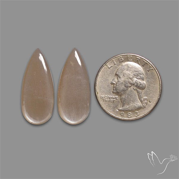 Gray Moonstone Pair