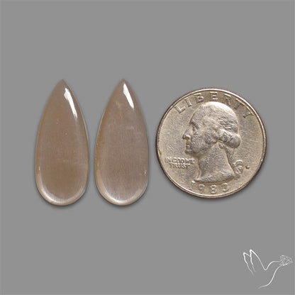 Gray Moonstone Pair
