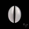 White Moonstone Pair